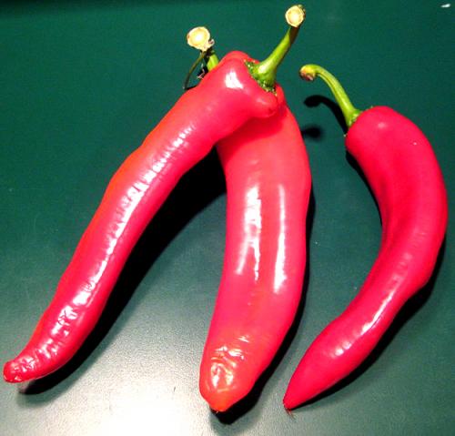 These Things You Can Do With Chili Peppers